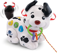 Load image into Gallery viewer, VTech Pull and Sing Puppy