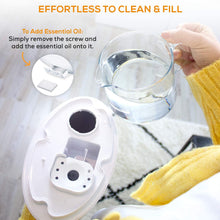 Load image into Gallery viewer, Beurer Air Humidifier