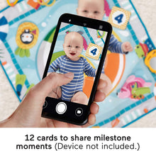 Load image into Gallery viewer, Fisher-Price, FisherPrice Dive Right in Activity Mat PoolThemed playmat with 4 Toys for Newborn Baby, Multicolor