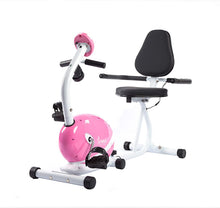 Load image into Gallery viewer, Sunny Health &amp; Fitness P8400 Sunny Health &amp; Fitness Magnetic Recumbent Bike Exe, Pink