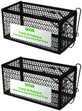 Load image into Gallery viewer, Harris Catch and Release Humane Cage Trap for Rats, Chipmunks, and Small Squirrels (2-Pack)