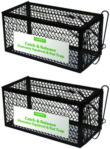 Harris Catch and Release Humane Cage Trap for Rats, Chipmunks, and Small Squirrels (2-Pack)