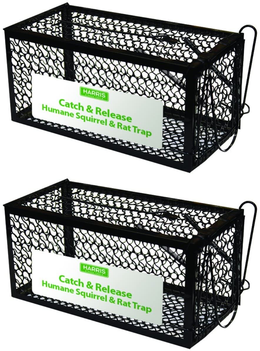 Harris Catch and Release Humane Cage Trap for Rats, Chipmunks, and Small Squirrels (2-Pack)