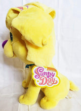 Load image into Gallery viewer, Sunny Day Jumbo Doodle 18"