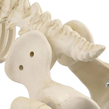 Load image into Gallery viewer, Home Accents Holiday 19 in. Animated Skeleton Dog