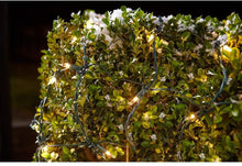 Load image into Gallery viewer, 150 Net Light Set, Clear Bulbs