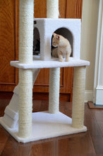 Load image into Gallery viewer, Armarkat B5301 53-Inch Cat Tree, Ivory