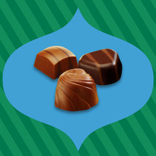 Load image into Gallery viewer, HERSHEY&#39;S Pot Of Gold Holiday Premium Collection Chocolate Candy, 10 Oz