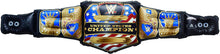 Load image into Gallery viewer, AlphaToys WWE Massive Belt Banners - Airnormous WWE United States Championship Title