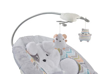 Load image into Gallery viewer, Fisher-Price Deluxe Bounce