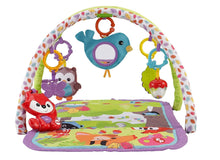 Load image into Gallery viewer, Fisher Price 3-in-1 Musical Activity Gym