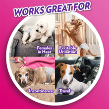 Load image into Gallery viewer, OUT! Pet Care Disposable Female Dog Diapers | Absorbent with Leak Proof Fit | Medium/Large, 14 Count