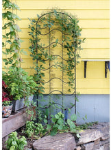 Load image into Gallery viewer, Achla Designs Waves Wrought Iron Garden Trellis