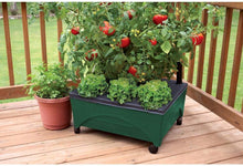 Load image into Gallery viewer, Emsco Group City Picker Raised Bed Grow Box – Self Watering and Improved Aeration – Mobile Unit with Casters - Hunter Green