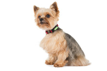 Load image into Gallery viewer, Poof Bean Pet Activity Tracker