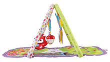 Load image into Gallery viewer, Fisher Price 3-in-1 Musical Activity Gym