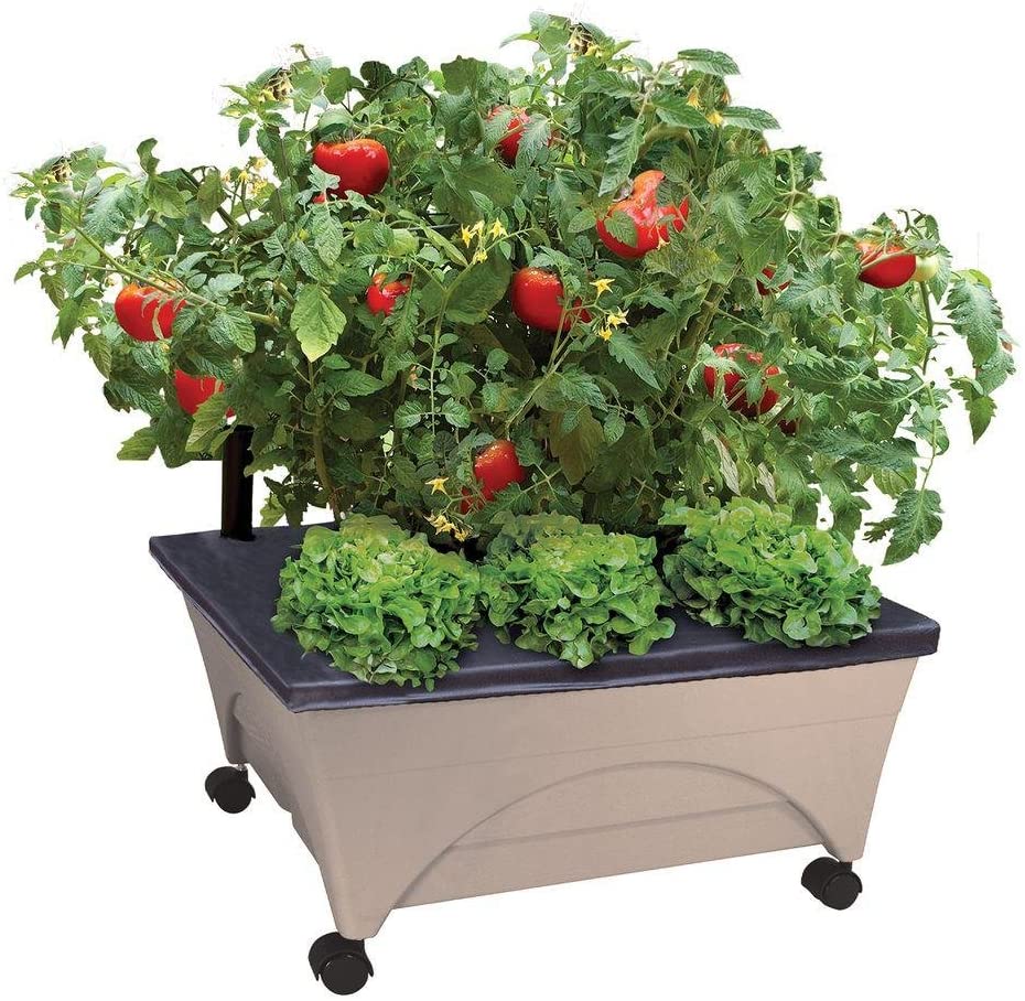 Emsco Group City Picker Raised Bed Grow Box – Self Watering and Improved Aeration – Mobile Unit with Casters - Sand