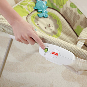 Fisher-Price Newborn Rock 'n Play Sleeper