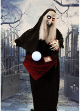 Load image into Gallery viewer, Haunted Hill Farm HHFORTTLR-1FLSA Life-Size Animatronic Witch, Color 1