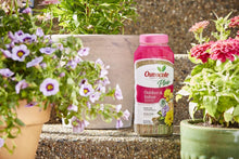 Load image into Gallery viewer, Osmocote Smart-Release Plant Food