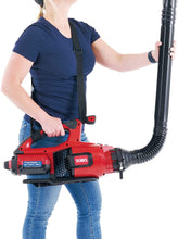 Load image into Gallery viewer, Toro The Company 51668 Universal Gutter Cleaner, Black
