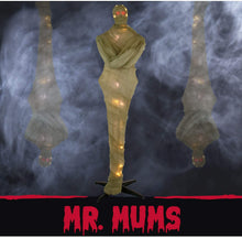 Load image into Gallery viewer, Haunted Hill Farm HHMUM-2FL Life-Size Animatronic Mummy, Color 1
