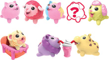 Load image into Gallery viewer, Chubby Puppies &amp; Friends Collector Pack Sugar Babies (10 Pack)