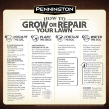 Load image into Gallery viewer, Pennington Annual Ryegrass Retail Bag to Overseed Warm Season Grasses, 25 lb