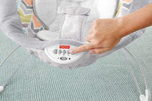 Load image into Gallery viewer, Fisher-Price Deluxe Bounce