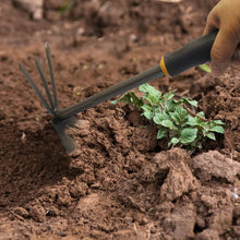 Load image into Gallery viewer, Centurion 485 Durable 5 Piece Garden Tool Set, Yellow