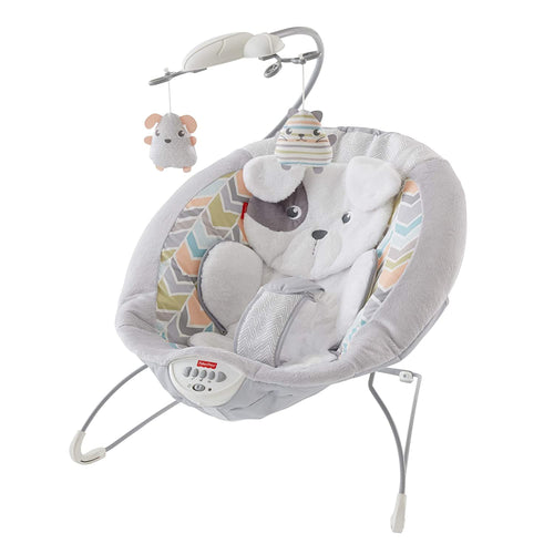 Fisher-Price Deluxe Bounce