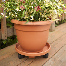 Load image into Gallery viewer, Bloem Ariana Self Watering Planter, 16&quot;, Calypso (AP1627)