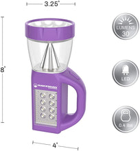 Load image into Gallery viewer, Flashlight