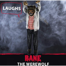 Load image into Gallery viewer, Haunted Hill Farm HHWOLF-1FLSA Life-Size Animatronic Werewolf, Indoor/Outdoor Halloween Decoration, Multi