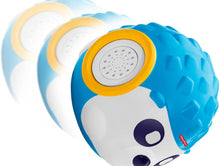 Load image into Gallery viewer, Fisher-Price Think &amp; Learn Rhythm &#39;n Roll Hedgehog