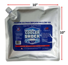 Load image into Gallery viewer, Cooler Shock 4 Mid Size Freeze Packs 10&quot;x 9&quot; - No More Ice! Reusable. You Add Water &amp; Save!