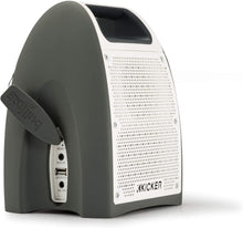 Load image into Gallery viewer, Kicker Bullfrog BF200 Bluetooth Music System - Green/Gray