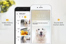 Load image into Gallery viewer, Petcube Play Smart Pet Camera with Interactive Laser Toy. Remote Dog/Cat Monitoring with HD 1080p Video, Two-Way Audio, Night Vision, Sound/Motion Alerts. App-Enabled Pet Safety and Home Security