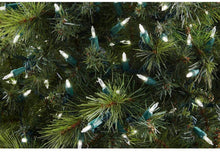 Load image into Gallery viewer, Home Accents Holiday 300-Light LED Mini Constant-On White String Lights