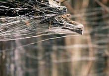 Load image into Gallery viewer, The Shadows Edge Webcaster Gun Halloween Spiderwebbing Cobweb