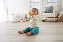 Load image into Gallery viewer, Fisher-Price Rattle N Rock Maracas
