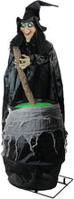 Load image into Gallery viewer, Northlight Halloween Decorations, Black