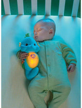Load image into Gallery viewer, FISHER-PRICE DGH78 FISHER-PRICE SOOTHE &amp; GLOW