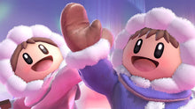 Load image into Gallery viewer, Super Smash Bros. Ultimate Parent