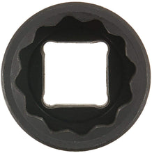 Load image into Gallery viewer, Urrea Drive 12-Point Impact Socket