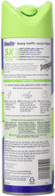 Load image into Gallery viewer, Woolite Heavy Traffic Carpet Cleaner, 22 fl oz