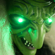 Load image into Gallery viewer, Haunted Hill Farm HHWITCH-9FLS Life-Size Animatronic Witch, Indoor/Outdoor Halloween Decoration, Multi