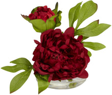 Load image into Gallery viewer, Nearly Natural 4789 Peony with Glass Vase Assorted, Set of 3