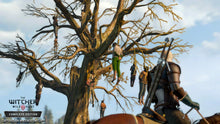 Load image into Gallery viewer, The Witcher 3: Wild Hunt - [Twister Parent]