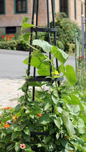 Load image into Gallery viewer, Achla Designs Obelisk Garden Trellis